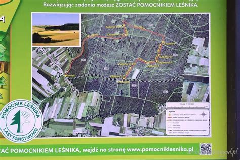 Mapa ścieżki edukacyjnej „Zostań pomocnikiem leśnika” w Goszczy