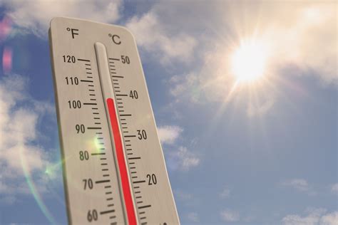 infografika przedstawiająca czynniki sprzyjające pożarom lasów (susza, wiatr, wysoka temperatura, podpalenia)