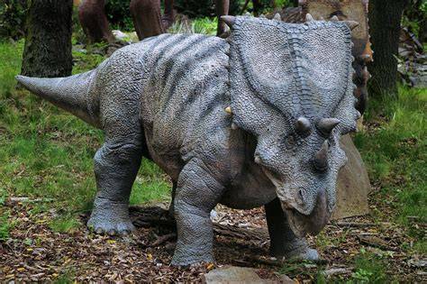 Zdjęcie Polany Dinozaurów w Parku Bażantarnia