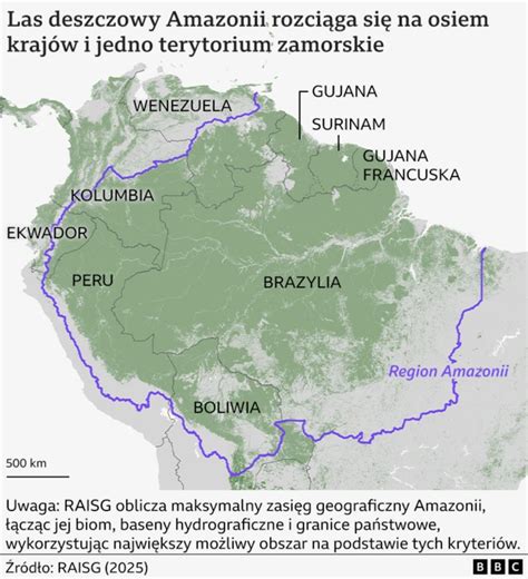 Mapa Amazonii z zaznaczonymi obszarami objętymi pożarami i krajami, przez które przebiega las deszczowy