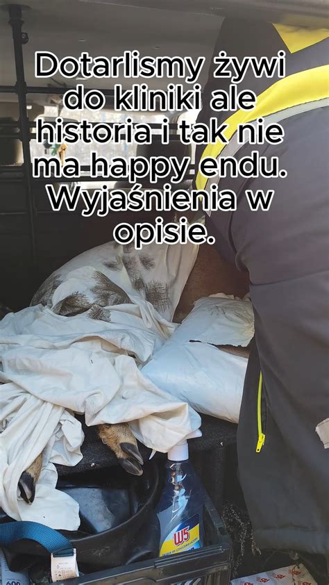 Zgromadzeni świadkowie nagrywający tragedię, zamiast udzielać pomocy