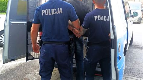 Zatrzymanie sprawcy i zabezpieczenie dowodów