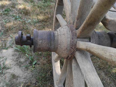 historyczne zdjęcie beczkowozu konnego dostarczającego wodę