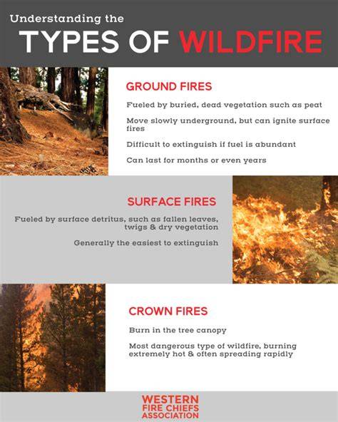 Infographic showing the area affected by the forest fire or types of equipment used in forest firefighting