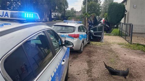 Chase na grzbiecie tyranozaura uciekający przed policją