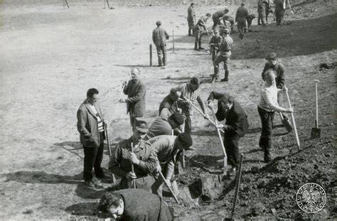 Historyczne zdjęcie przedstawiające czyn społeczny w PRL: grupa ludzi pracuje wspólnie przy budowie lub remoncie drogi