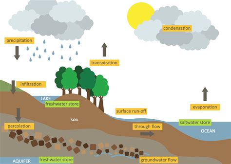 Infographic or schema showing Hydrus operating on land and water