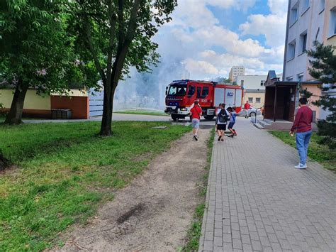 Grafika przedstawiająca obszar z serią podpaleń dokonanych przez strażaka-podpalacza
