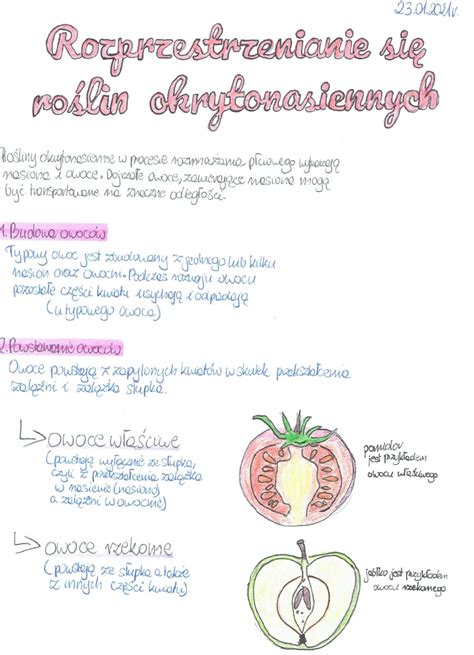 schemat przedstawiający rozprzestrzenianie się toksycznych substancji z hali pożarowej do gleby i wód gruntowych