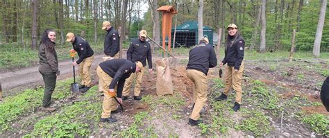 Zdjęcie służb leśnych lub policji podczas patrolowania terenu
