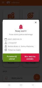 Zrzut ekranu z formularza ustawiania hasła w systemie e-Remiza