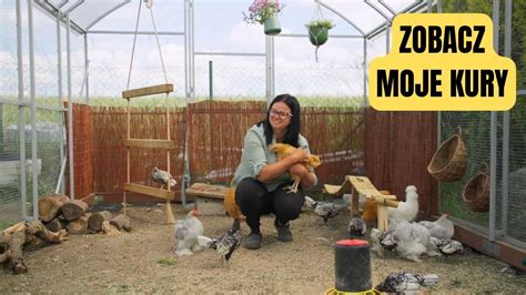 zdjęcie spalonego kurnika