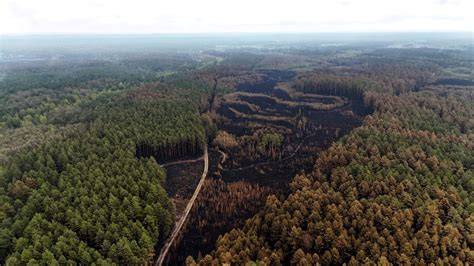 Panoramiczne zdjęcie lasu Veluwe objętego dymem z pożaru