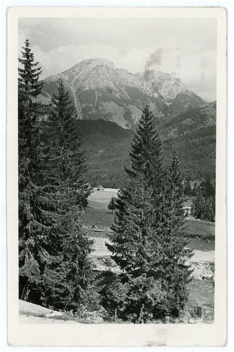 Widok na Tatry ze Schroniska PTTK Rysianka