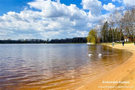 widok na Zalew Chechło otoczony lasami