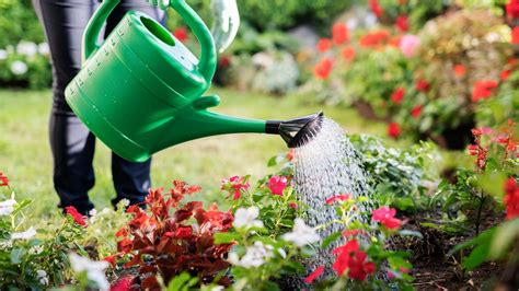 Thematic photo of a person effortlessly watering a garden using a modern garden hydrant.