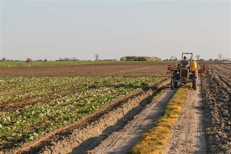 Tematyczne zdjęcie przedstawiające płonącą maszynę rolniczą na polu podczas żniw