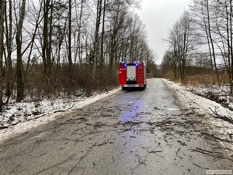 zdjęcie powalonego drzewa na drodze po wichurze