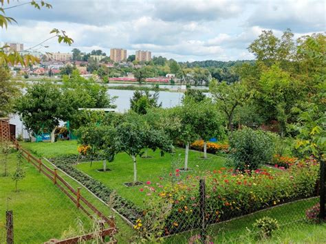 Zdjęcie płonącej altanki lub zadymienia nad terenem ogródków działkowych