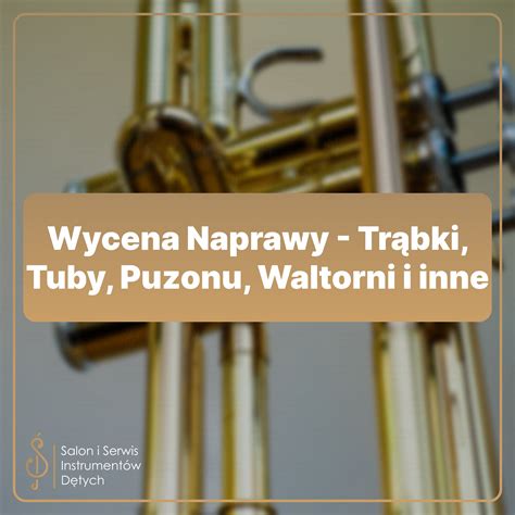 infografika przedstawiająca ewolucję tuby i związanych instrumentów