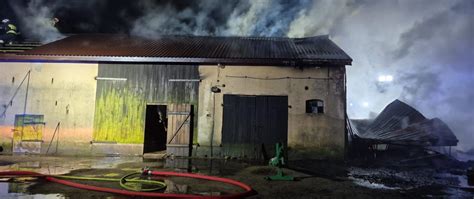 Zdjęcie przedstawiające akcję ewakuacji zwierząt z płonącego budynku gospodarczego