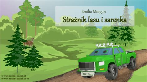 infografika przedstawiająca cele i zasięg akcji „Strażnik Lasu”