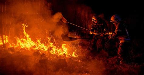 Zdjęcie przedstawiające zniszczony przez pożar obszar leśny, z widocznymi pozostałościami drzew i zgliszczami