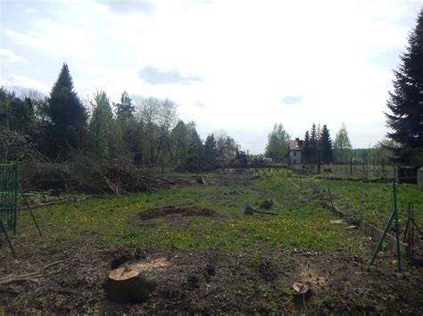 Zdjęcie przedstawiające pusty skwer po wycince drzew w centrum Rzeszowa, okolice okrągłej kładki