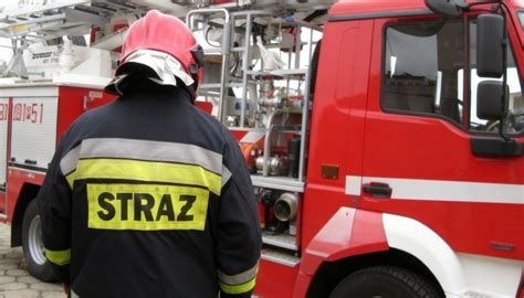 infografika przedstawiająca zakres tematyczny prac plastycznych: ratownictwo, ekologia i historia straży pożarnej