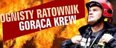 infografika prezentująca program 