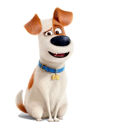 The Secret Life of Pets - główni bohaterowie filmu animowanego: pies Max, Duke, Gidget, Chloe, Mel, Budek, Dziubek, w scenerii Nowego Jorku