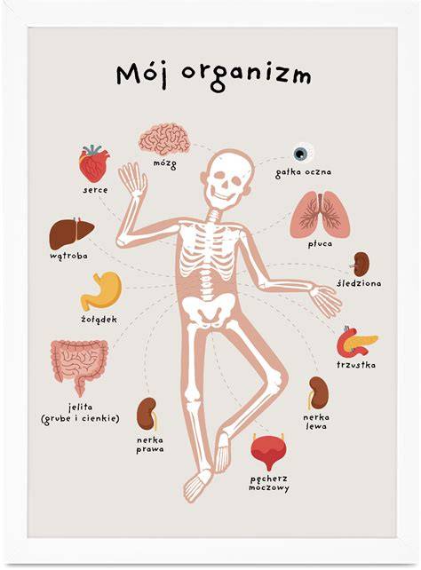 Infografika z punktami pomiarowymi na ciele mężczyzny