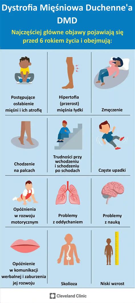 Infografika/schemat przedstawiający dystrofię mięśniową Duchenne’a i jej wpływ na organizm