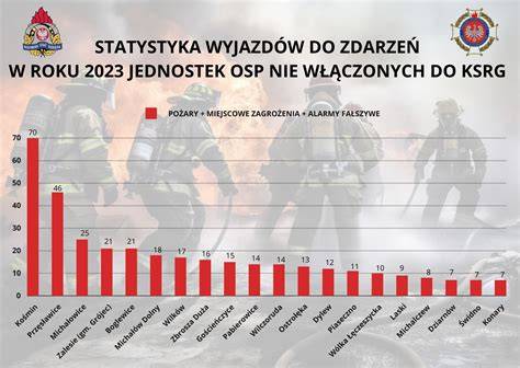 Infografika: Statystyki interwencji straży pożarnej w powiecie rawickim w 2022 roku (pożary, miejscowe zagrożenia, fałszywe alarmy)