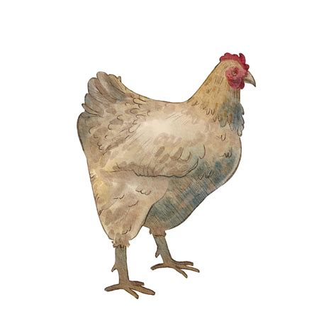 Portret Tadeusza Szymańczaka na tle jego gospodarstwa