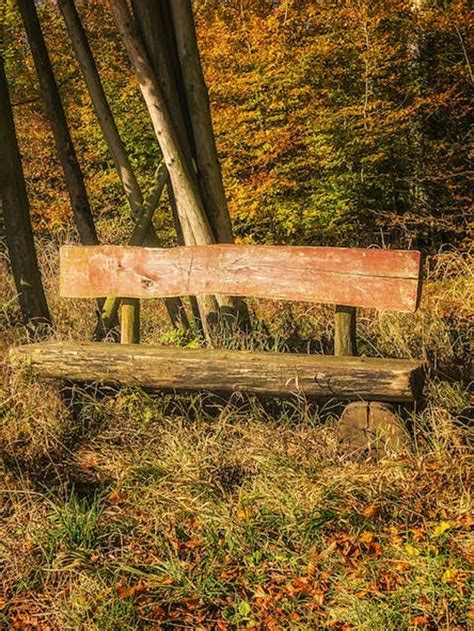 Zdjęcie przedstawiające ławkę w parku z widocznym listem (lub symboliczną kopertą)