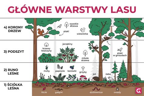Infografika przedstawiająca różne warstwy i typy ubiorów strażackich