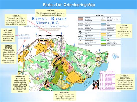 Map of the orienteering race route