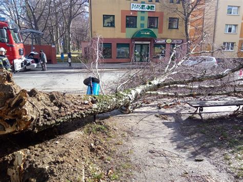 zdjęcia pokazujące skutki silnego wiatru na Pomorzu