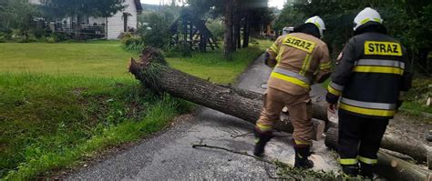Zdjęcie przedstawiające strażaków usuwających powalone drzewo
