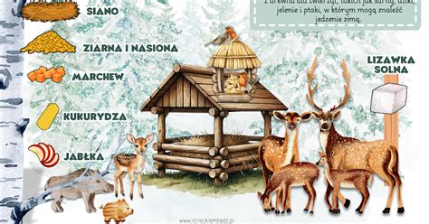 ilustracja przedstawiająca niedźwiedzia Grizzly i lemingi w chatce leśniczego