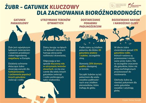 Infografika prezentująca ewolucję znaczenia słów 