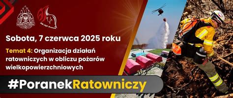 infografika przedstawiająca schemat działań straży pożarnej podczas pożarów wielkopowierzchniowych