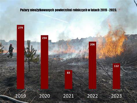 Infografika podsumowująca statystyki pożarowe na Podlasiu w 2025 roku (liczba zdarzeń, ofiary, przyczyny)