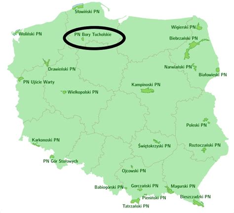 Mapa Parku Narodowego Bory Tucholskie z zaznaczoną lokalizacją pożaru