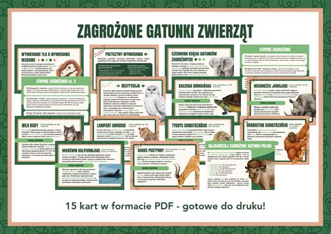 Infografika przedstawiająca zagrożone gatunki zwierząt w Borach Tucholskich