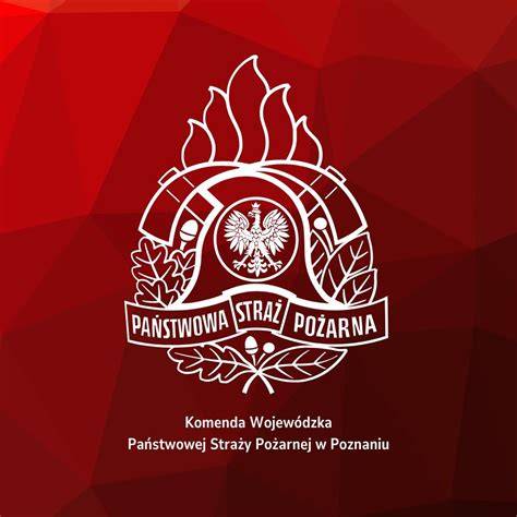 Wizualizacja emblematów Państwowej Straży Pożarnej na stylizowanej tarczy herbowej