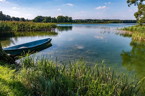 Zdjęcie jeziora Bogoryjskiego z nenufarami i trzcinami