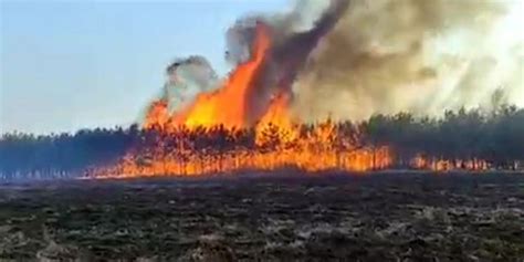 zdjęcie dymiącego pola traw po pożarze
