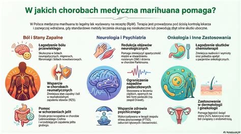 Infografika: Zastosowania plecaków opryskiwaczowych w detailingu